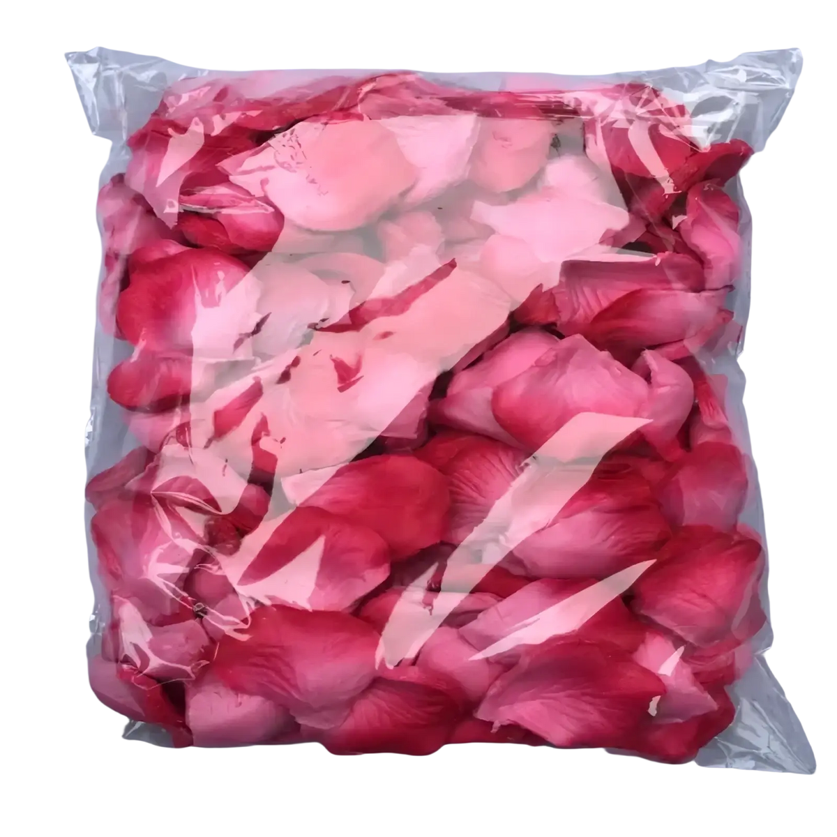 A clear plastic bag filled with vibrant pink rose petals for 5500 colorful rose petals wedding decor