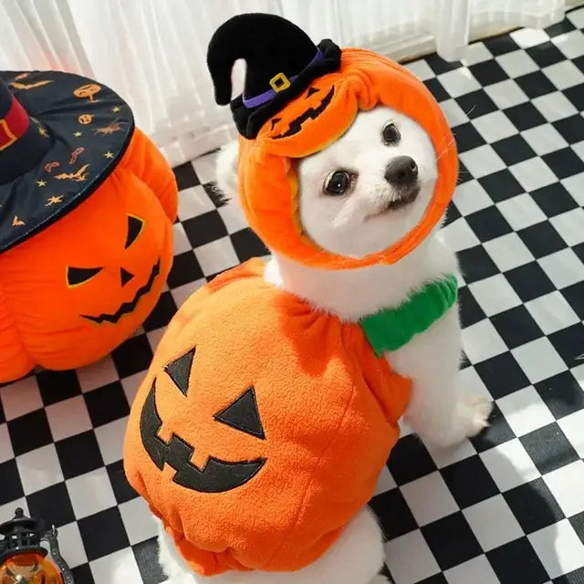Costume orange en peluche pour chien en forme de citrouille avec un visage brodé noir et une bordure verte, conçu pour un accessoire pour animal de compagnie destiné à Halloween.