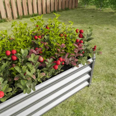 Lecho elevado de jardín de metal corrugado plateado, maceta galvanizada de 4x2x1 pies, con follaje verde y bayas rojas.
