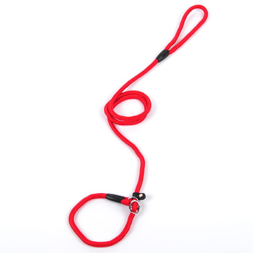 Correa para perro de nailon trenzado rojo con herrajes de plástico negro y hebilla metálica, para mascotas pequeñas y grandes.