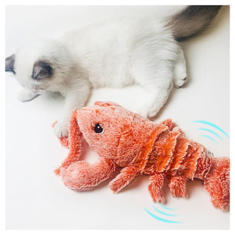 Ein elektrisches hüpfendes Hummer-USB-Lade-Katzen-Spielzeug aus plüschig-weichem orangfarbenem Fell mit schwarzen Augen.