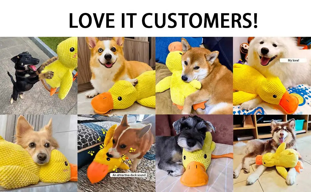 Bright yellow knitted duck toy with orange beak and feet designed as a calming duck toy for dogs anxiety relief quacking plush.