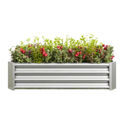 Lecho elevado de jardinería de metal corrugado plateado, de 4x2x1 pies, galvanizado, con borde elevado y plantado con follaje verde y bayas rojas.
