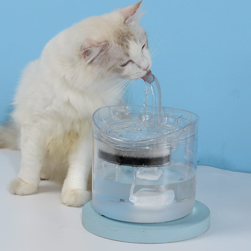 Fontaine à eau intelligente pour animal de compagnie en plastique transparent, avec base bleue et filtre noir conçu pour les chats, d’une capacité de 1,8 litre.