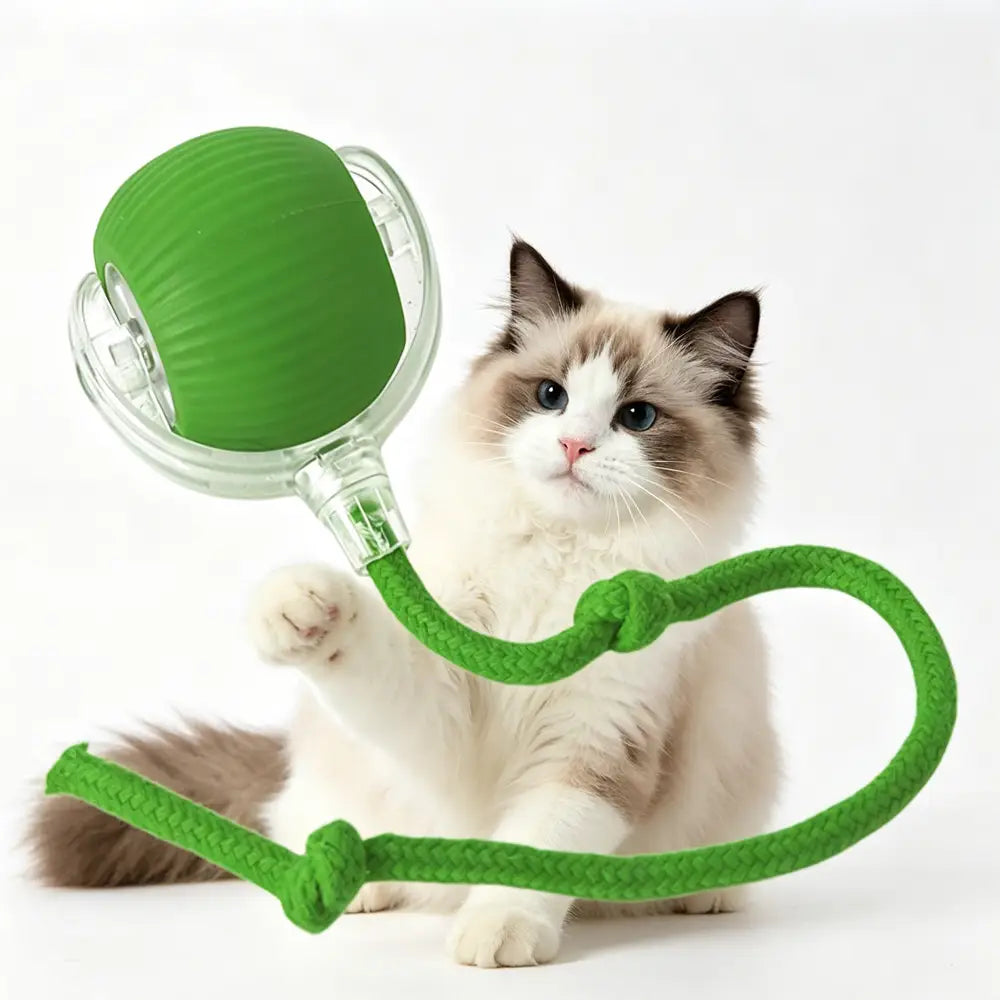 Electric Dog Cat Ball Toy,indoor Large and Small Cat Dog Interactive Intelligent Rolling Pet Ball