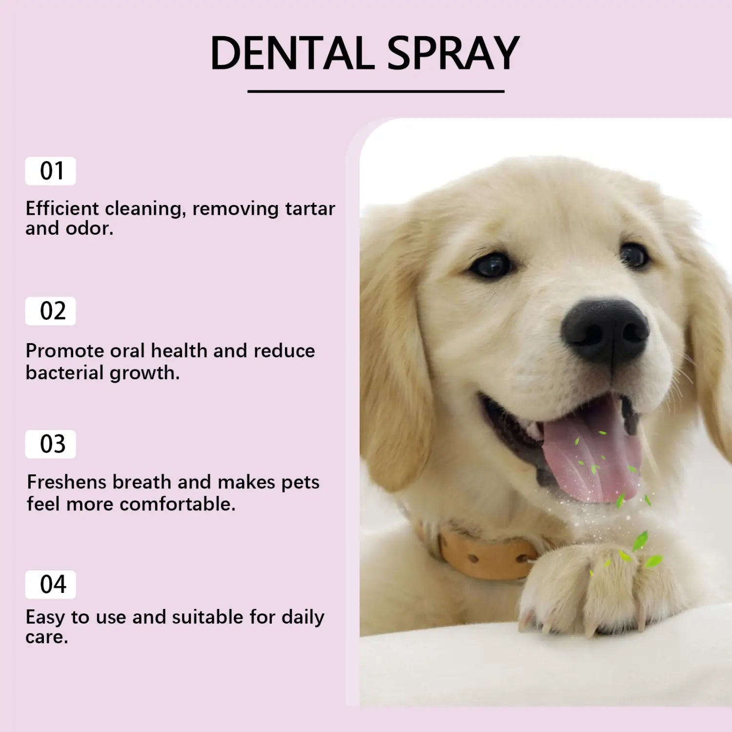 Un flacon de spray dentaire pour animaux de compagnie de couleur dorée pour le soin buccal et le rafraîchissement de l’haleine, présentant un design compact élégant avec un embout facile à utiliser.