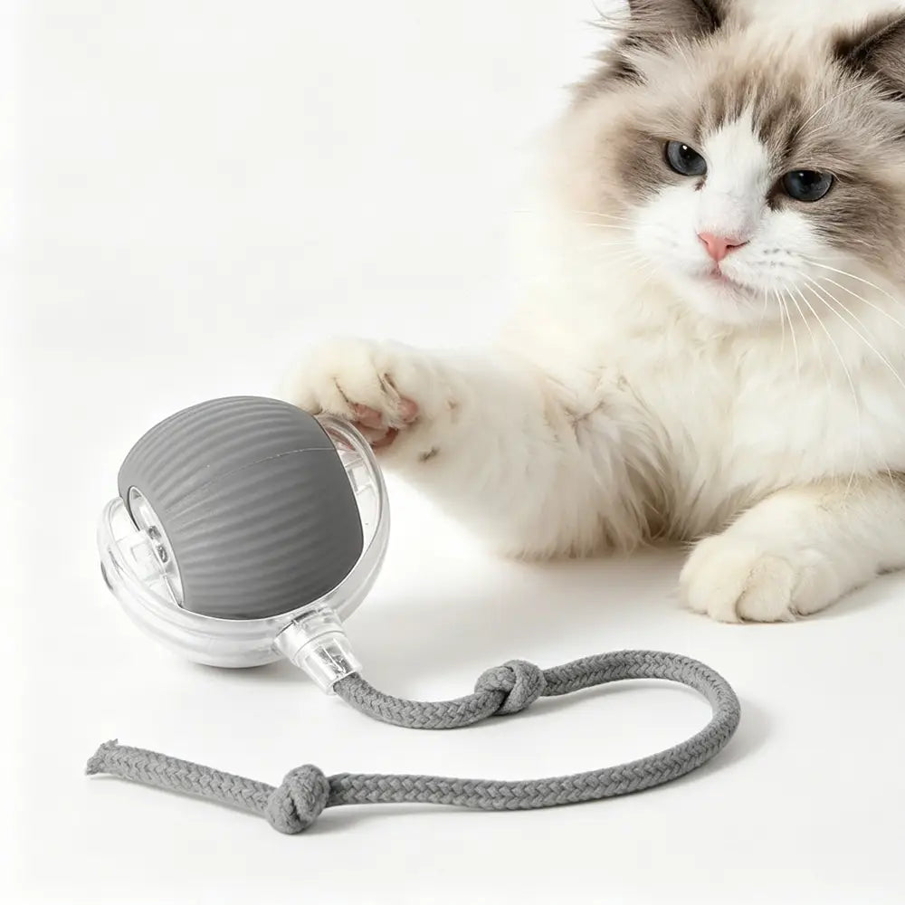 Electric Dog Cat Ball Toy,indoor Large and Small Cat Dog Interactive Intelligent Rolling Pet Ball