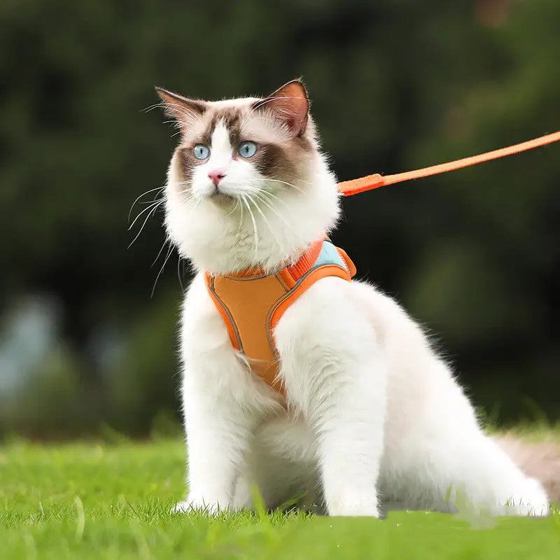 Reflective cat harness and leash set escape proof in orange with light blue accents and adjustable straps for secure outdoor use.