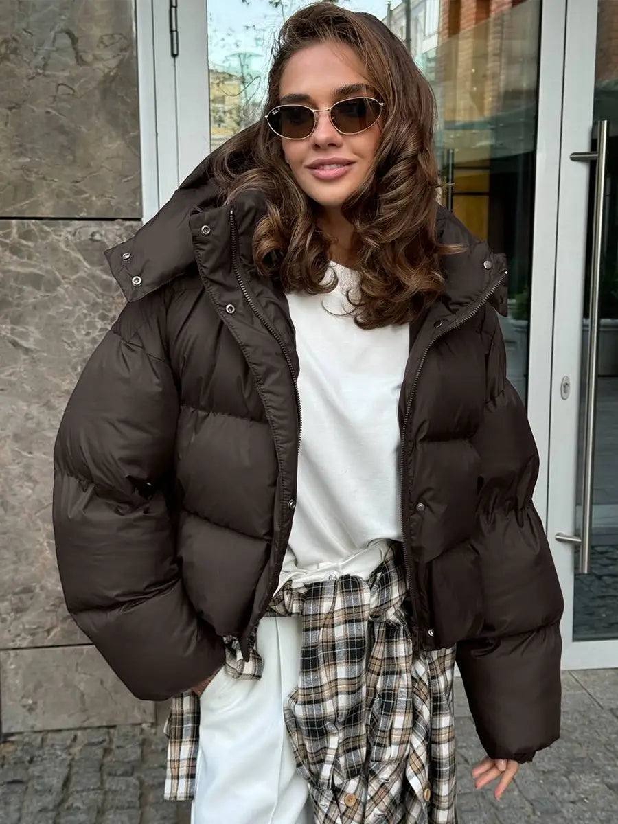 Braune wattierte Pufferjacke mit Kapuze mit silberfarbenen Reißverschlusszügen, für kaltes Wetter konzipiert.