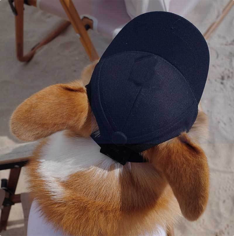 A navy blue adjustable sun proof pet hat with ear holes made of breathable fabric worn by a corgi.
