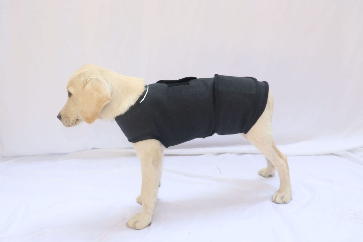 Black padded dog vest shown from the back side designed as a breathable anxiety and thunder jacket for dogs.