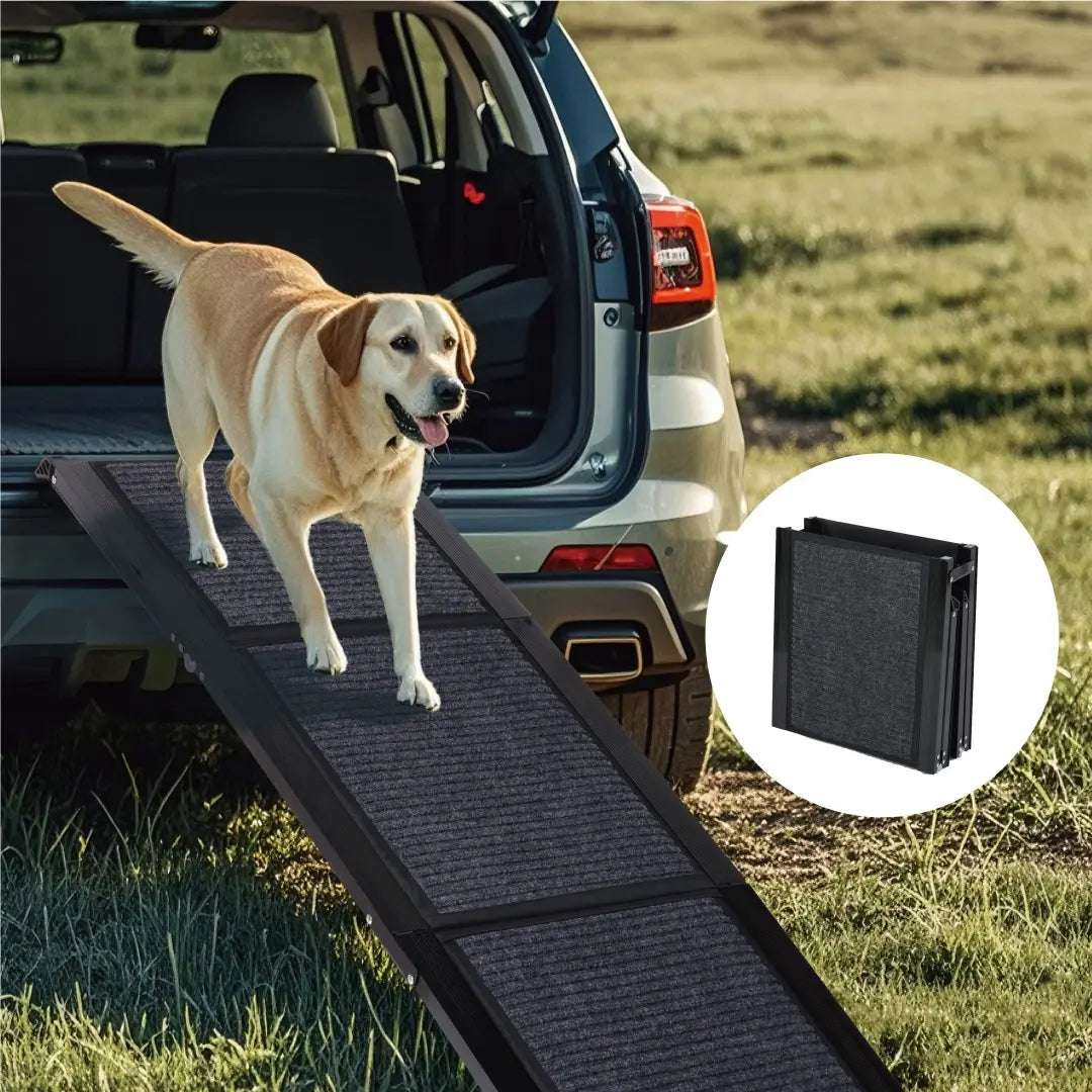 Rampe portative pliable noire texturée pour chien, conçue pour voiture, SUV et camion, avec une capacité de 113 kg (250 lb), vue depuis l’arrière