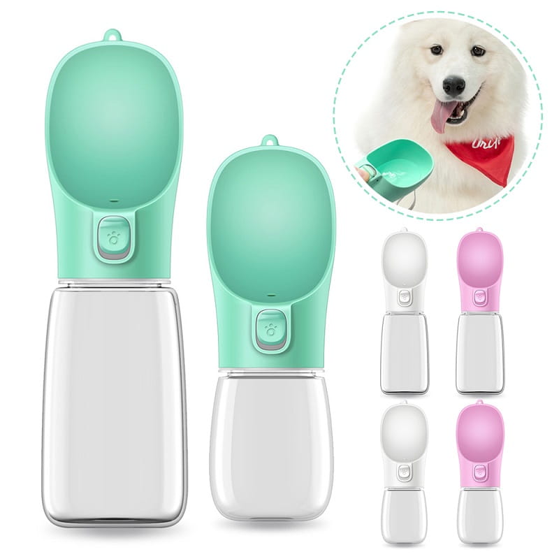 Pet water bottle portable travel cup 350ml 550ml in mint green and clear plastic with a spout designed for easy drinking.