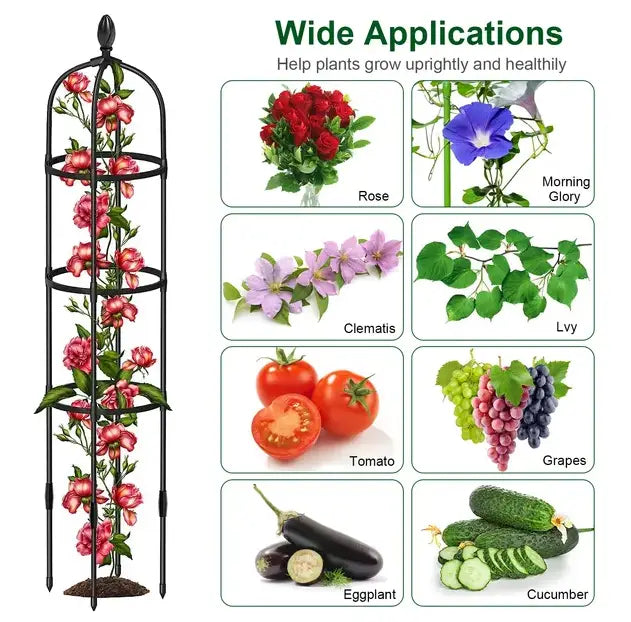 Black metal garden obelisk trellis 2 pack 5.9ft with ornate scrollwork design, vertical support posts, and horizontal rings for guiding climbing plants.