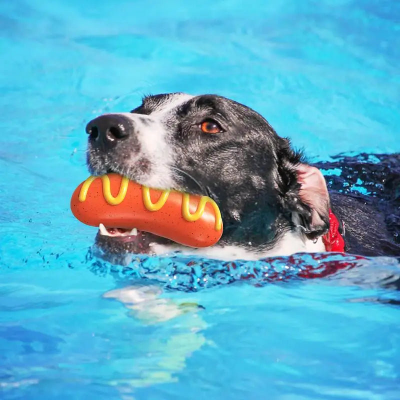 Jouet à mâcher indestructible pour chien, caoutchouc avec bruit de sifflement, nettoie-dents