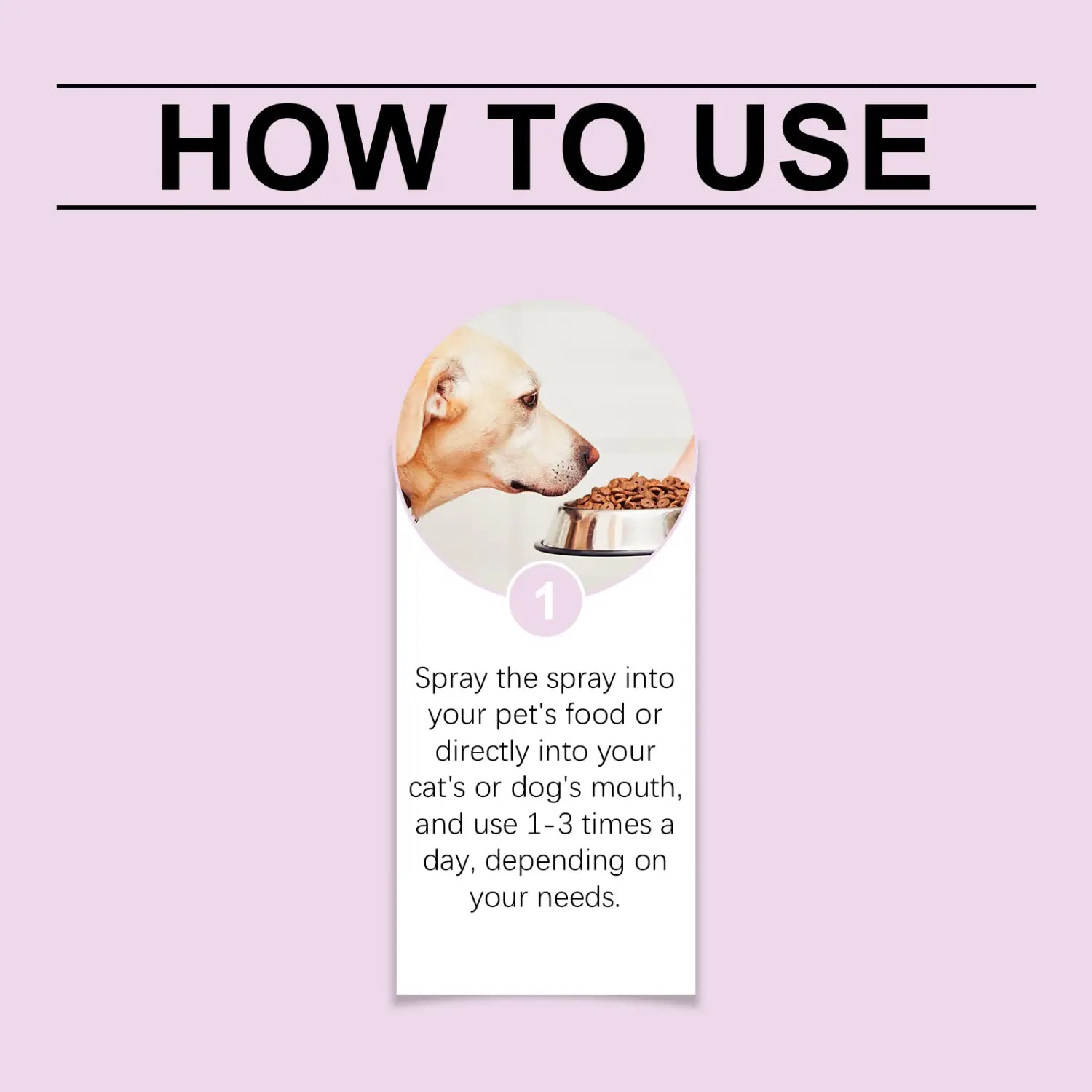Un bol alimentaire métallique pour chien, rempli de croquettes brunes, représentant le spray dentaire pour animaux de compagnie, l’hygiène buccale et le rafraîchissement de l’haleine.