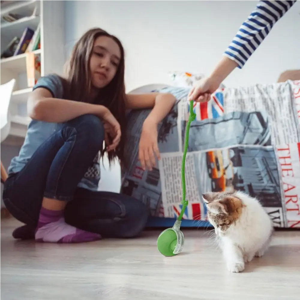 Electric Dog Cat Ball Toy,indoor Large and Small Cat Dog Interactive Intelligent Rolling Pet Ball