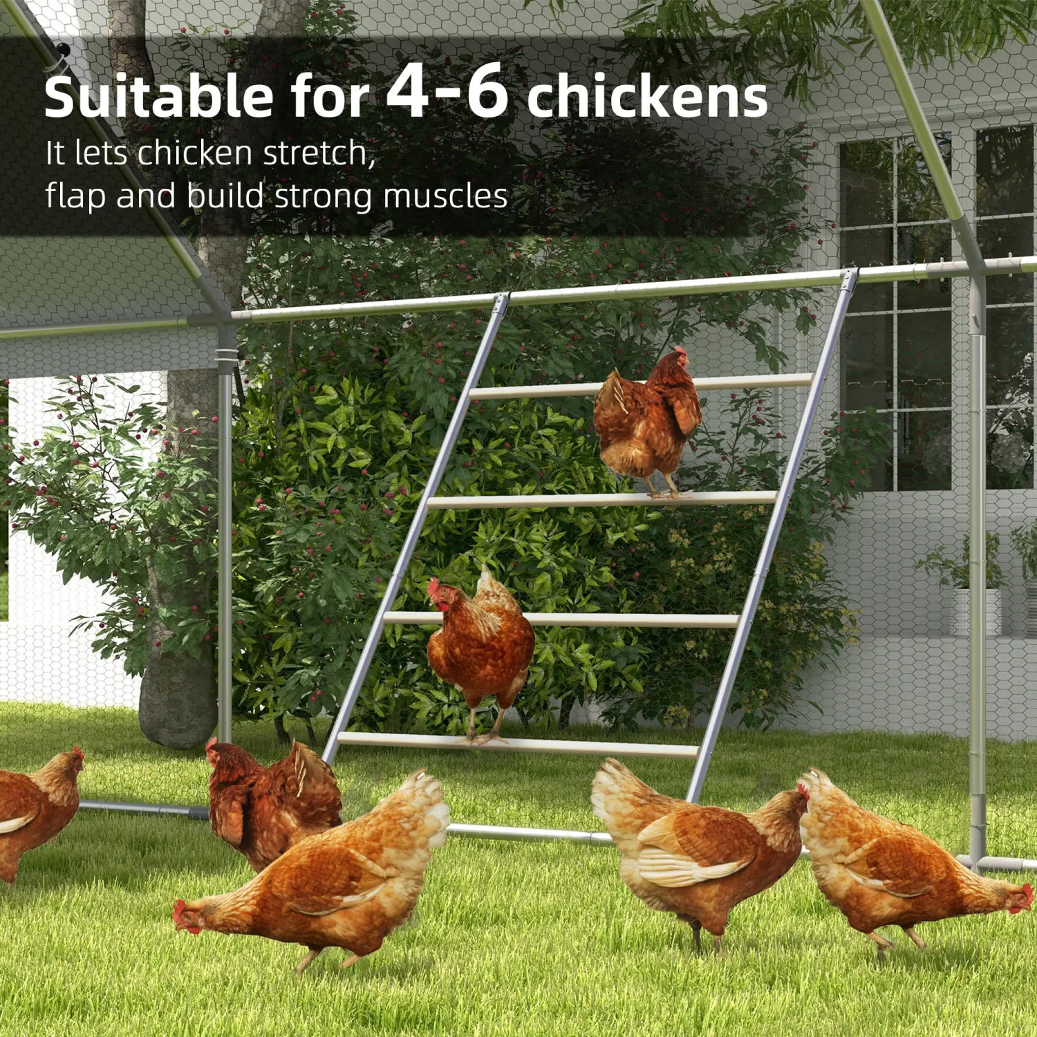 Chicken Roosting Bar 4 Tier Steel Jungle Gym Coop