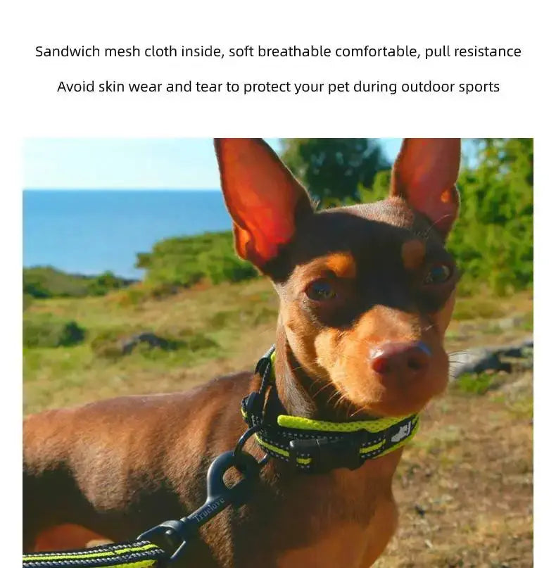 collar para perro de malla acolchada reflectante talla mediana, en verde neón brillante y negro, con interior de tela tipo sándwich de malla diseñado para mejorar la visibilidad y la comodidad.