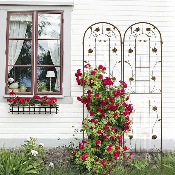 Ornamental wrought iron metal garden trellis 2 pack with arched top and floral motifs supporting vibrant red roses for flower support.
