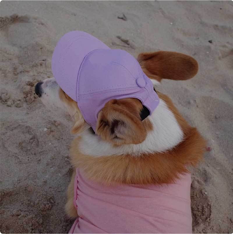 A soft lavender adjustable sun proof pet hat with ear holes worn by a corgi.