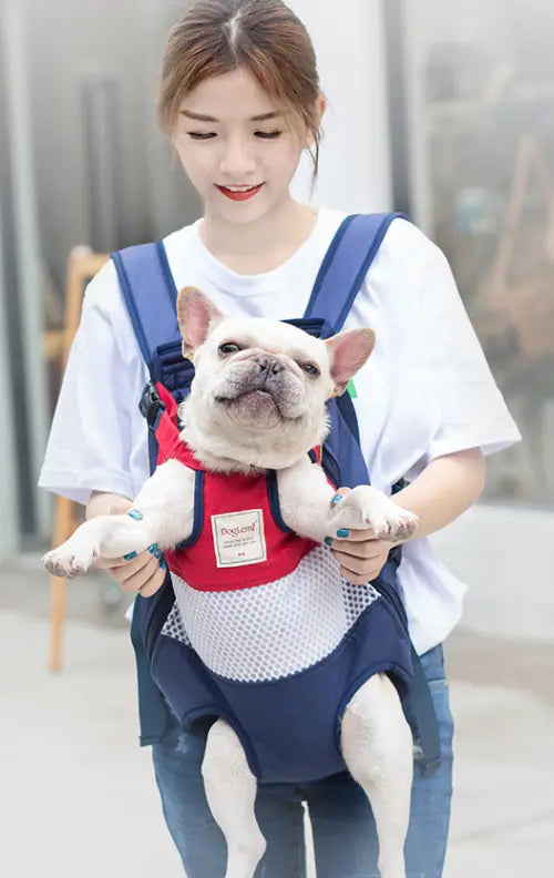 blue and red mesh dog carrier backpack with adjustable straps and breathable striped pet bag shown from the back side