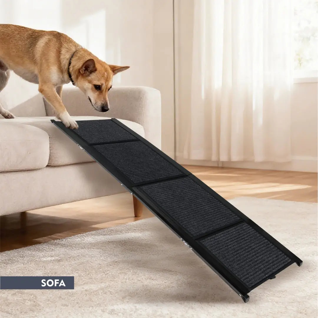 Rampe portative noire texturée pour chien, conception pliable élégante, pour voiture, SUV et camion, supportant jusqu’à 113 kg (250 lb).