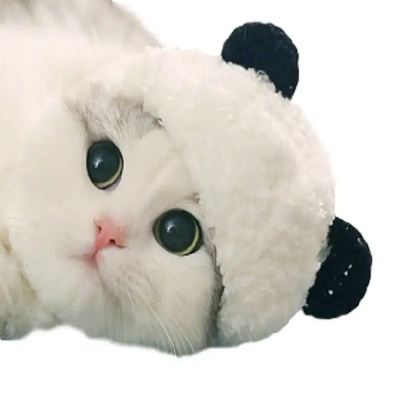 A fluffy white cat wearing a black panda ears pet hat as part of a panda pet hat fluffy cat costume white animal headwear.