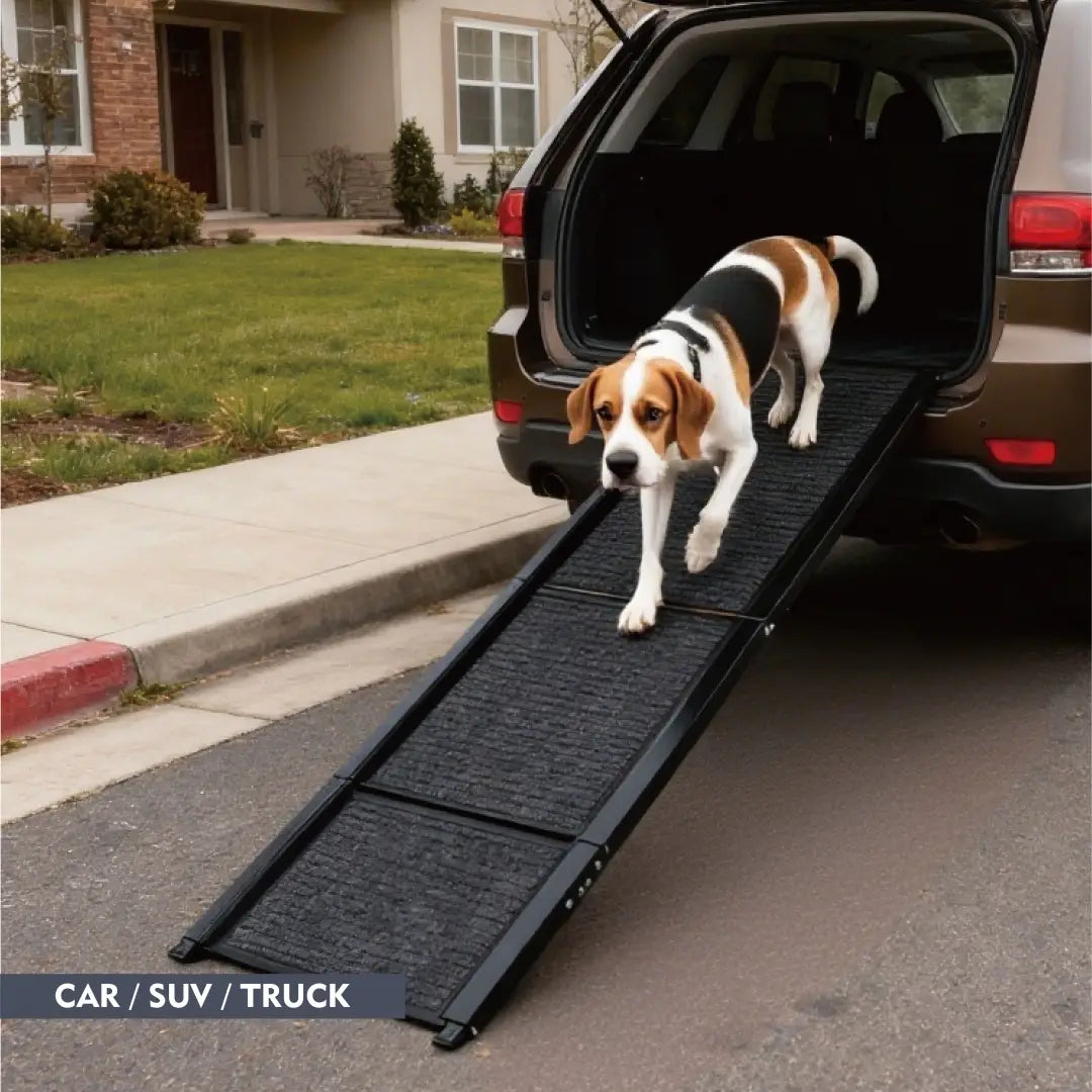 Rampa negra de metal para perro con superficie antideslizante con textura, diseñada para pasos portátiles plegables para mascotas que soportan hasta 250 lb.