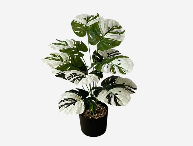 Artificial monstera turtle leaf potted plant garden decor featuring a faux monstera plant with variegated green and white leaves in a black pot.