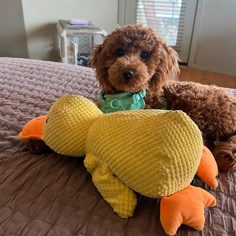 Yellow corduroy duck toy with orange beak and feet designed as a calming quacking plush for dogs anxiety relief