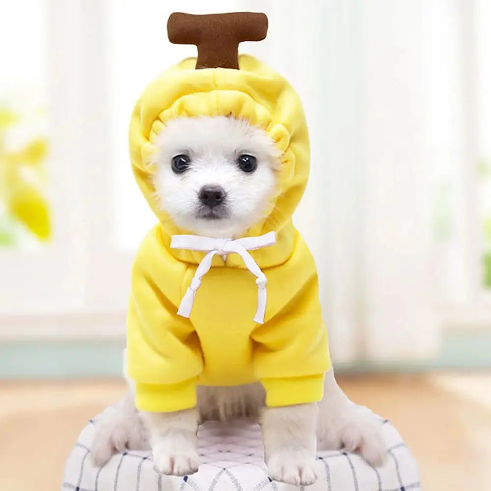 Sudadera con capucha de perro de fruta, abrigo de forro polar cálido para el invierno, ropa para cachorro