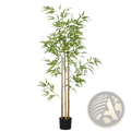 6ft artificial bamboo tree with slender green leaves and natural stalks in a sleek black indoor pot