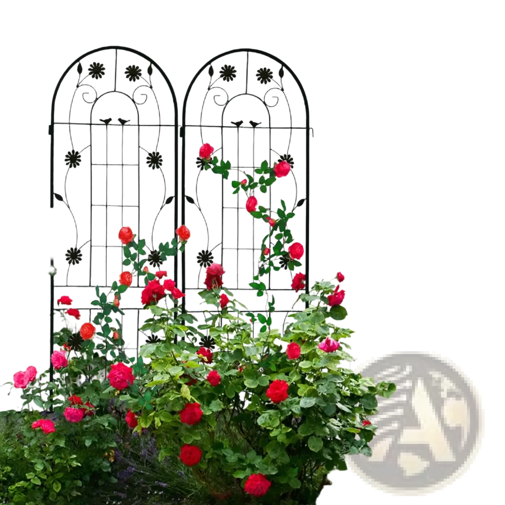 Black wrought iron garden trellis with arched top and floral design supporting red roses for garden use