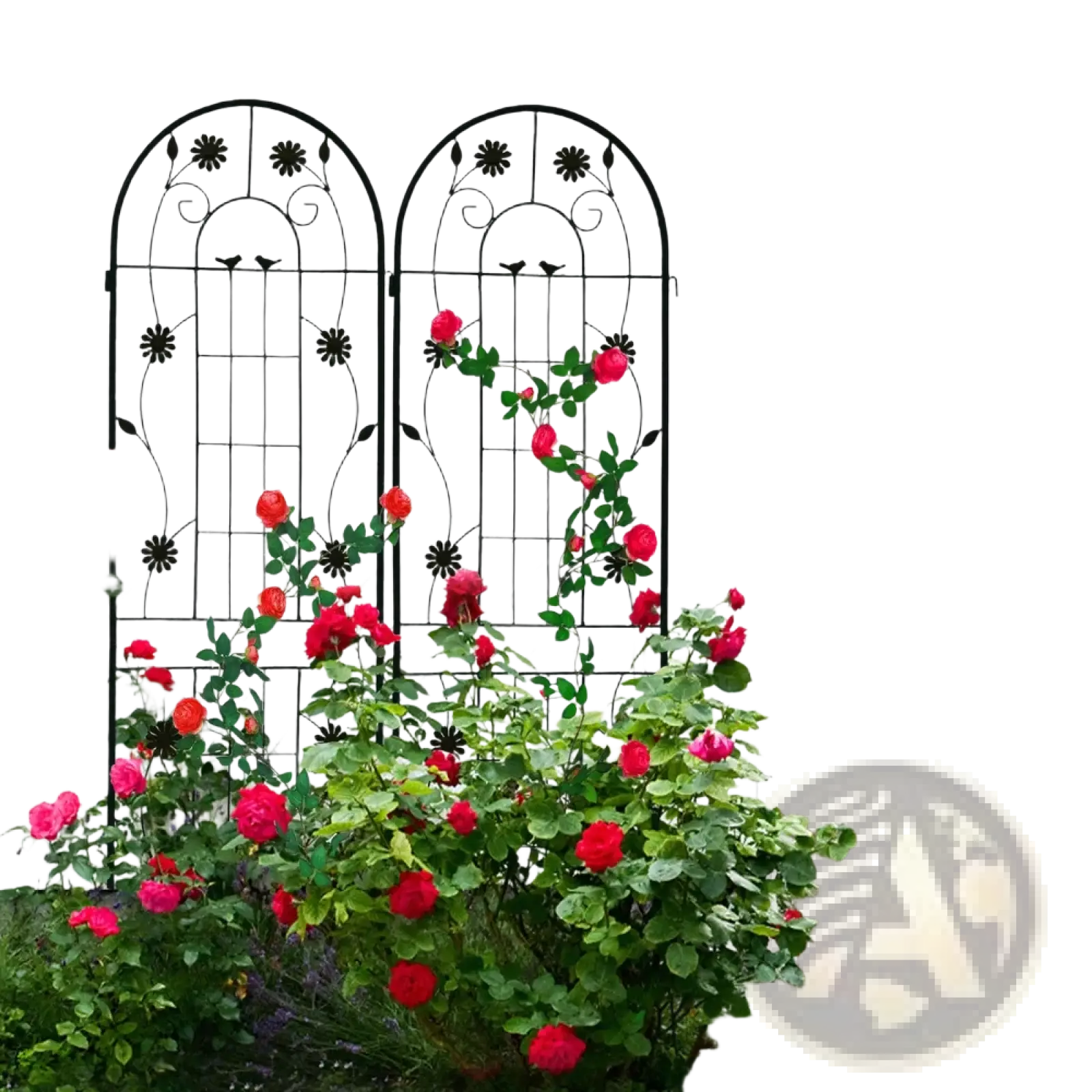 Black wrought iron garden trellis with arched top and floral design supporting red roses for garden use