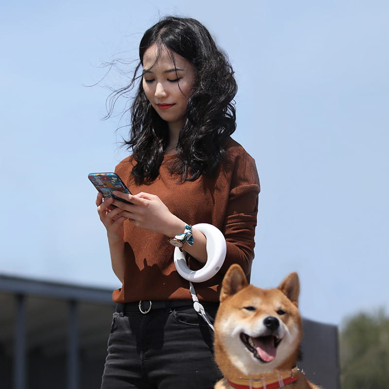 Retractable hands free dog leash with led light featuring a white circular design and silver metal clip attached to a red collar on a shiba inu.