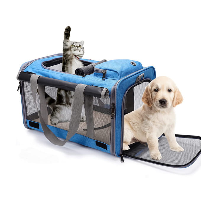 blue breathable oxford pet carrier shoulder bag with mesh sides and gray straps containing a cat inside and a puppy sitting outside