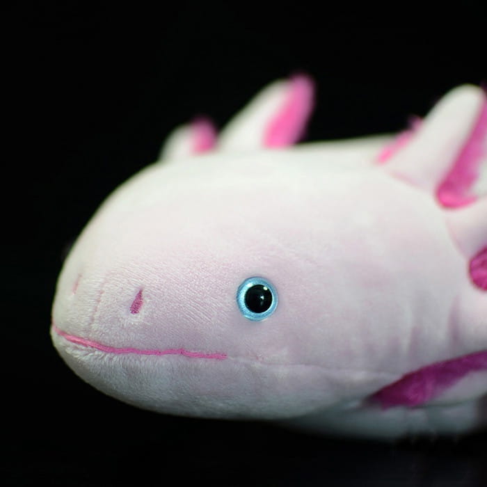 Ein weiches rosafarbenes Axolotl-Plüschtier mit leuchtend blauen Augen und zarten, fuchsiafarbenen kielartigen Flossen, 50 cm groß, im Stil einer sechseckigen Dinosaurier-Puppe.