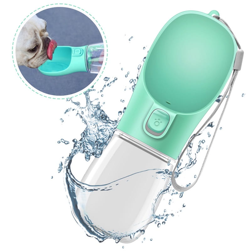 A mint green and transparent pet water bottle with a carrying strap designed as a portable travel cup available in 350ml and 550ml sizes.