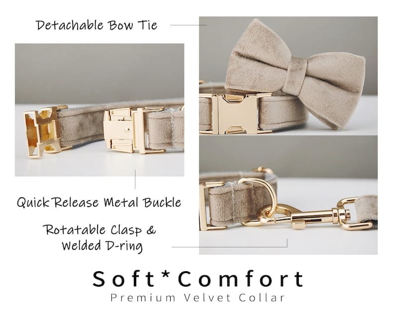 Personalized Velvet Dog Collar and Leash Set with Bow