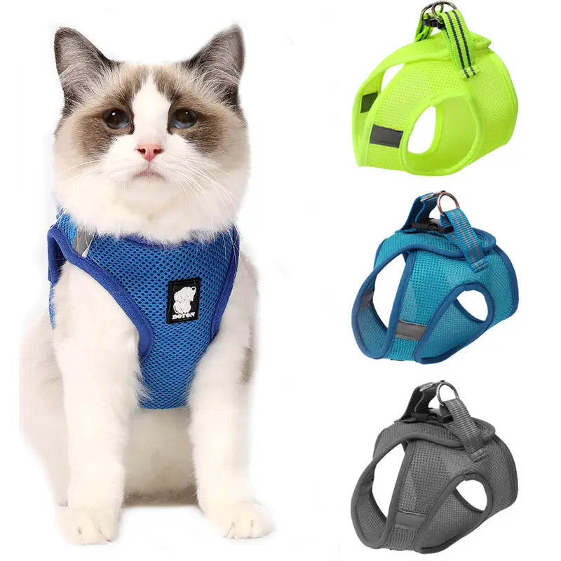 Blue mesh cat harness with black logo patch featuring reflective anti-strike material for safe pet walking.
