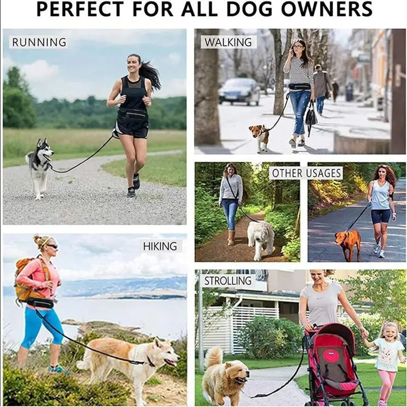 Correa negra ajustable para el perro con costuras reforzadas y diseño ergonómico del asa, incluida en el juego de cinturón para caminar al perro sin manos y correa.
