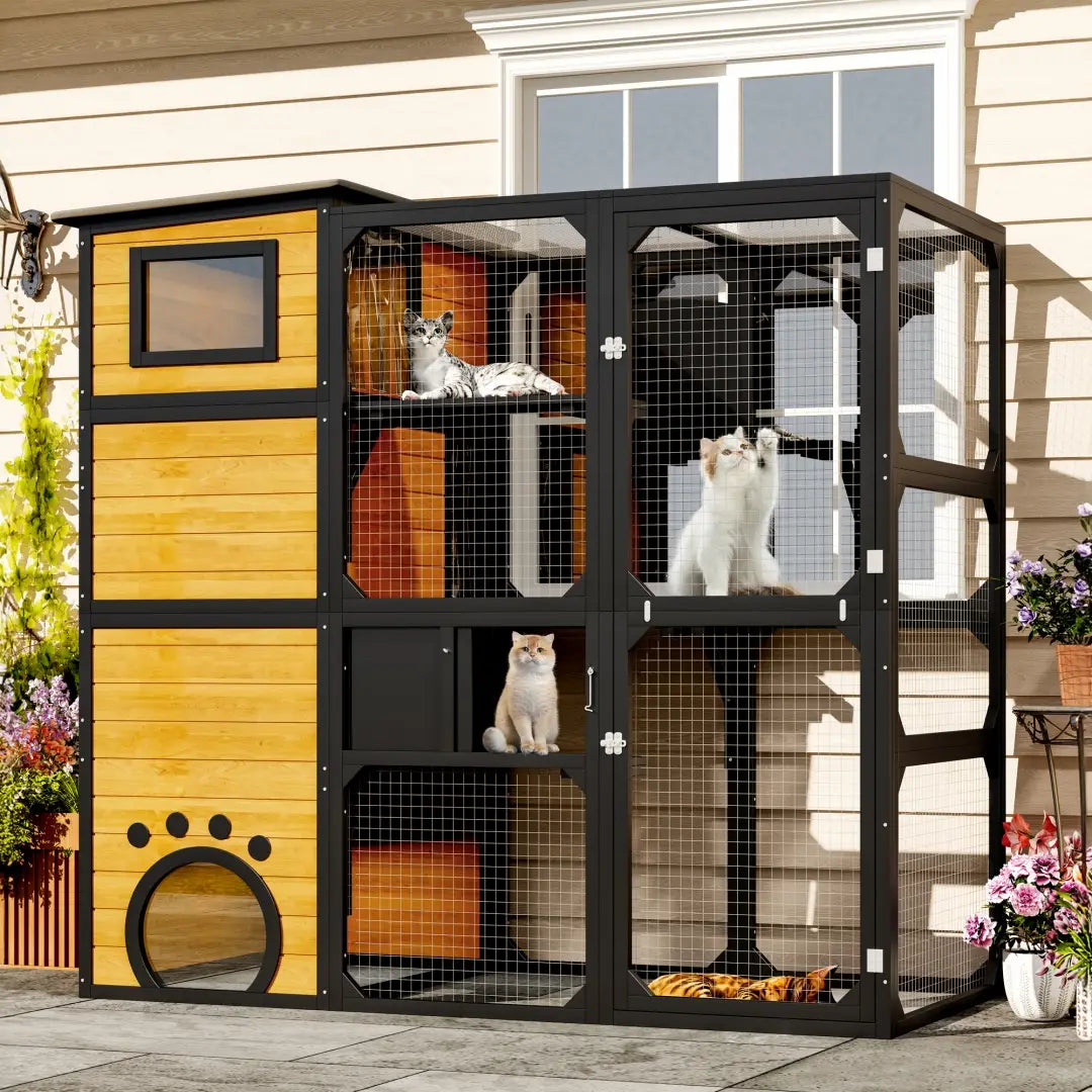Large outdoor catio 4 tier wooden cat enclosure with black and yellow wire mesh panels wooden slat siding and paw print entrance.