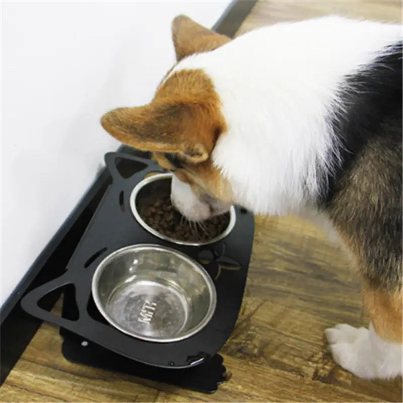 black cat-shaped adjustable elevated double pet feeder with two stainless steel bowls one containing food and the other empty