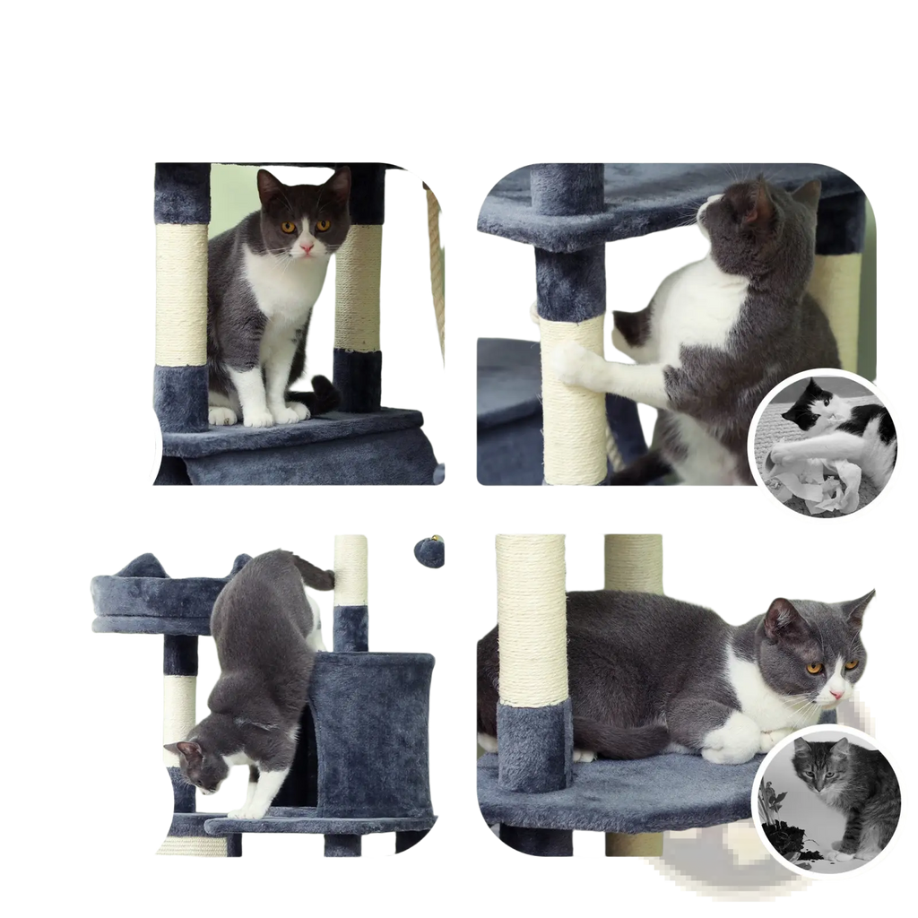 81 inch multi level tall cat tree in blue and beige with scratching posts and platforms for cats to climb and play