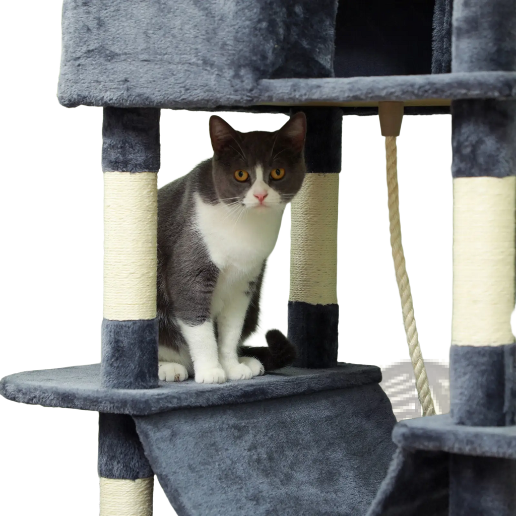Gray and white cat with yellow eyes sitting on an 81 inch multi level tall gray plush cat tree