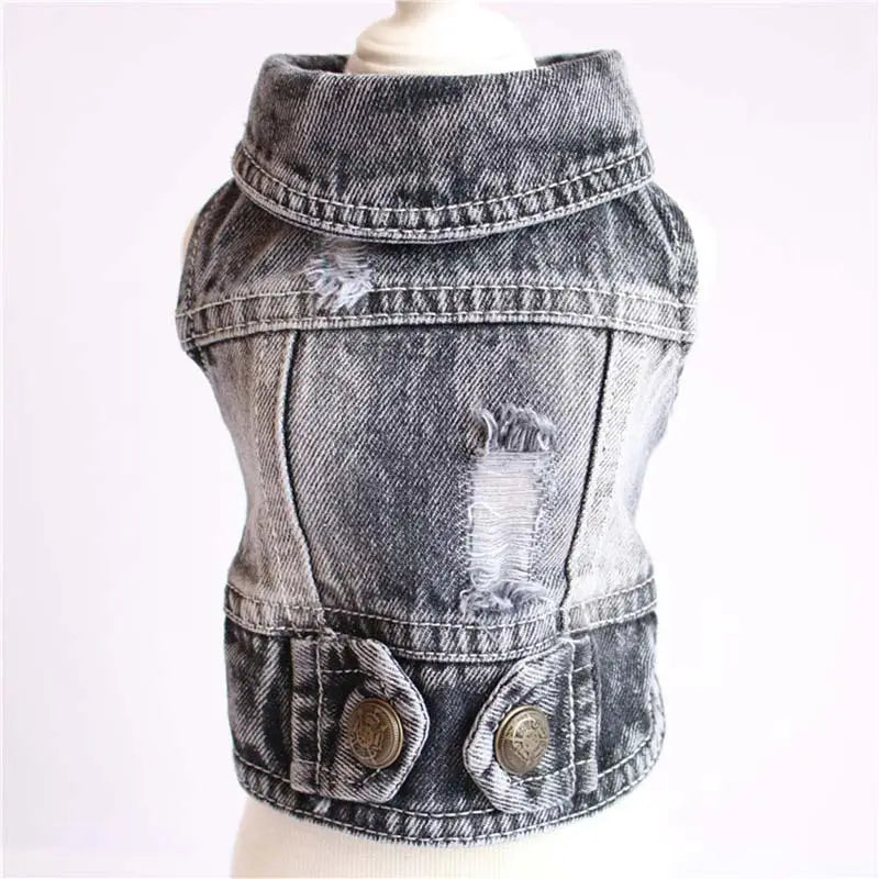 A distressed gray denim dog jacket with a high collar and two front pockets featuring metallic buttons from the denim dog jacket strawberry embroidery puppy vest collection.