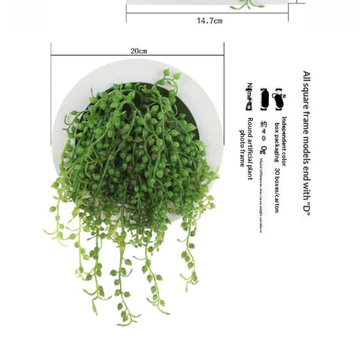 succulent wall decor 3d artificial hanging plants featuring green artificial string of pearls in a white round frame.