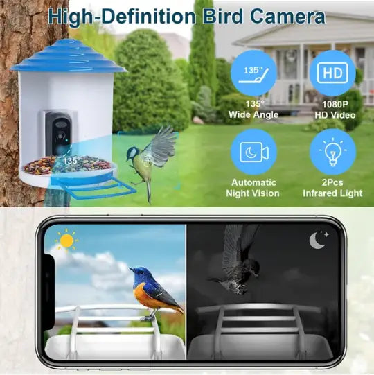 Comedero inteligente para pájaros con cámara WiFi solar con IA 1080p, IP65