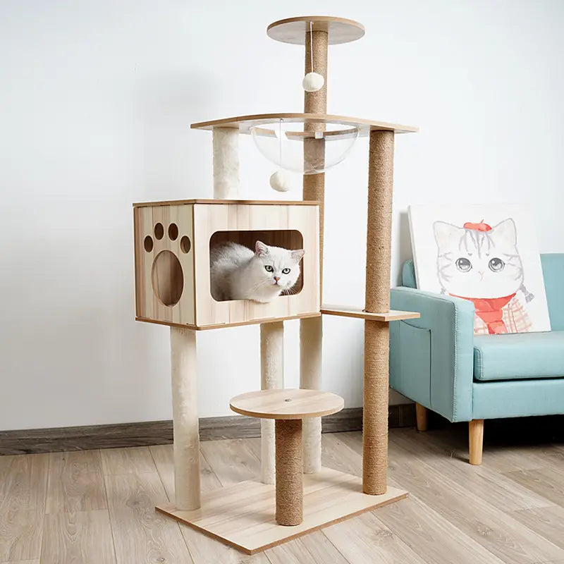 Light wood finished wooden cat tree scratching post and condo with multi-level platforms, sisal scratching posts, and a clear glass ball toy suspended above the top platform.